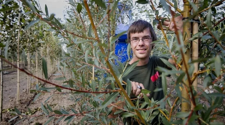 Jongen kijkt tussen de bomen door recht de camera in op een boomkwekerij