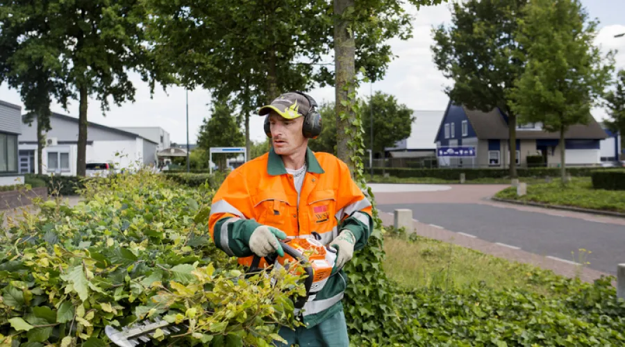 Man maait heggen met de elektrische heggenschaar