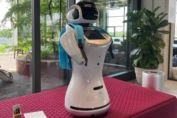 AI in het sociaal domein