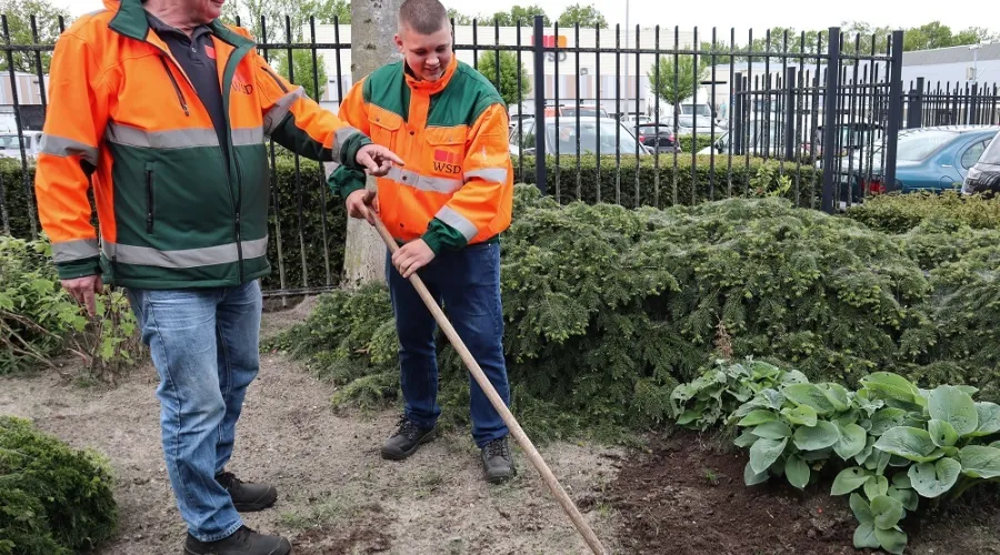 Een jonge medewerker schoffelt een perkje en zijn begeleider coacht hem