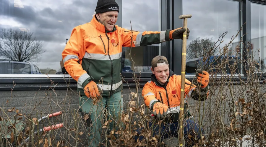 Heg aanplanten